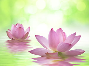 Serenity Vibration Healing